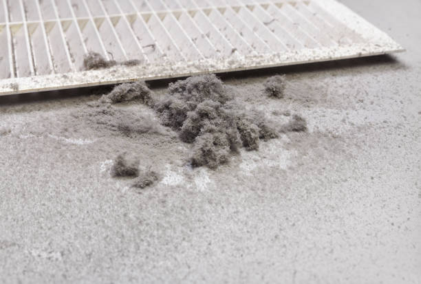 Professional Airduct Cleaning in Alexandria, LA