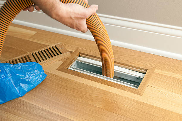 Best Local Air Duct Cleaning Services  in Alexandria, LA