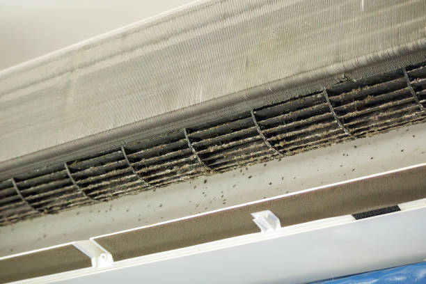 Best Affordable Duct Cleaning Services  in Alexandria, LA