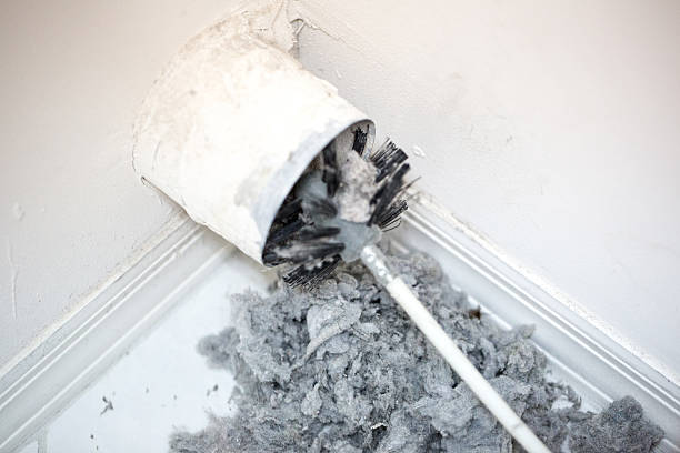 Best HVAC System Cleaning  in Alexandria, LA